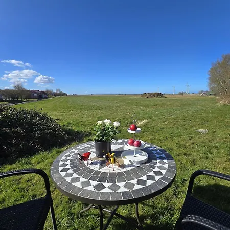 Wattwurm Butjadingen