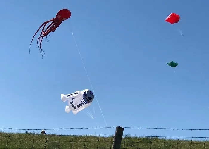 Wattwurm Nyaraló Butjadingen